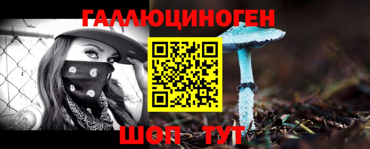 Галлюциногенные грибы Cubensis Тихвин