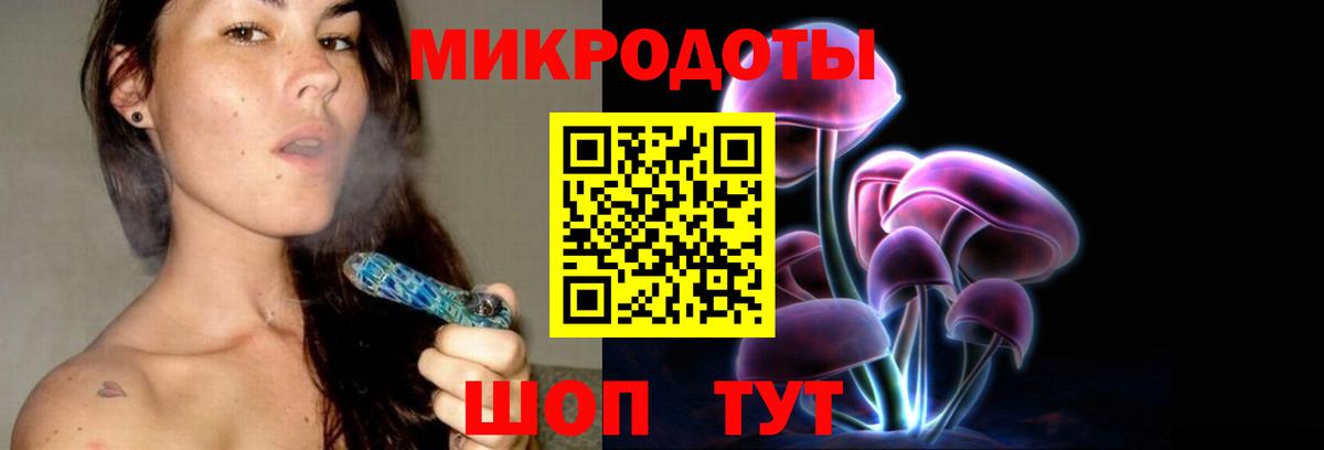 Тихвин  Галлюциногенные грибы прущие грибы  Вход с VPN 