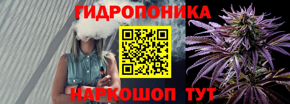 Тихвин  Бошки Шишки сатива  Шишки марихуана планчик  Вход с VPN 